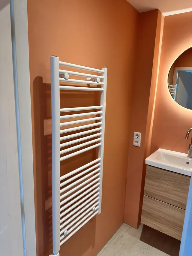 Compacte badkamer met warme accentwand, foto 2 van 7